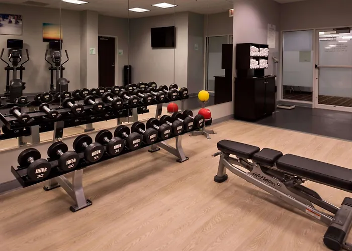 Sonesta Chicago O'hare Airport Hotel 3*