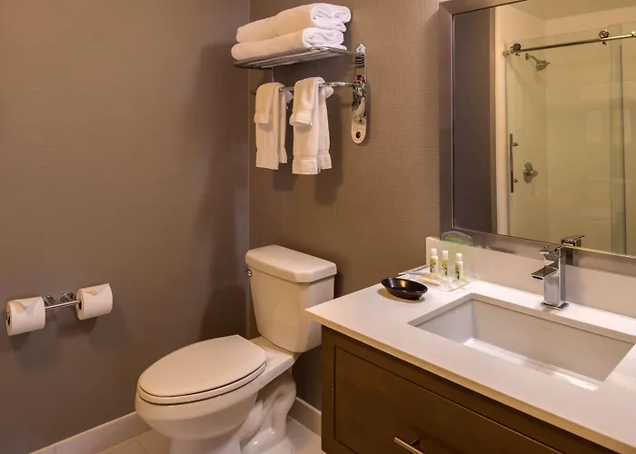 Hotel Sonesta Chicago O'hare Airport 3*