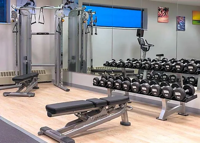 Sonesta Chicago O'hare Airport Hotel 3*